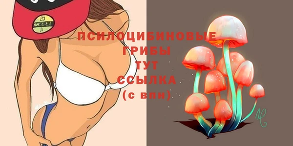 МДПВ Фурманов