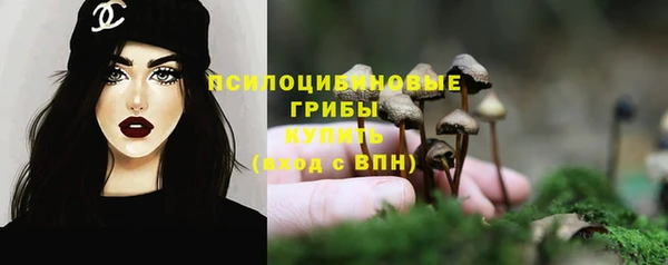МДПВ Фурманов