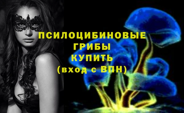 мдпв Заволжье