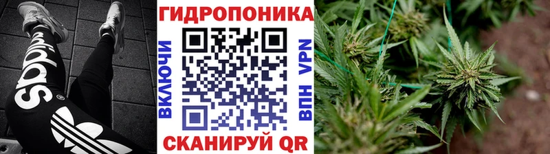 Конопля гибрид  Купить закладки  Мензелинск 